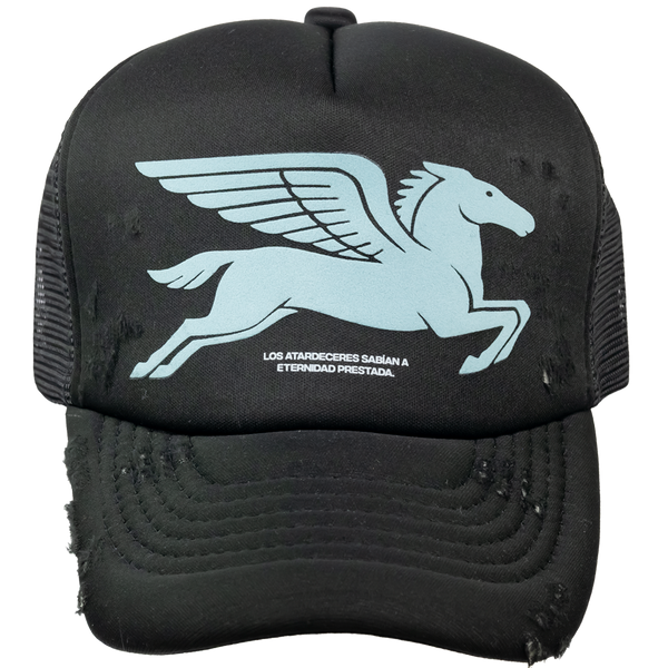 PEGASUS