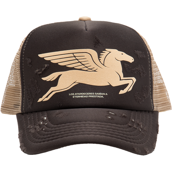 PEGASUS