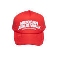 JESUS WALK
