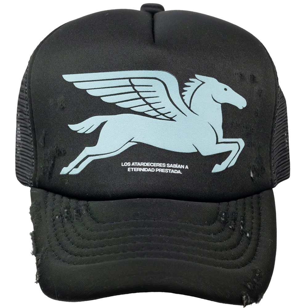PEGASUS