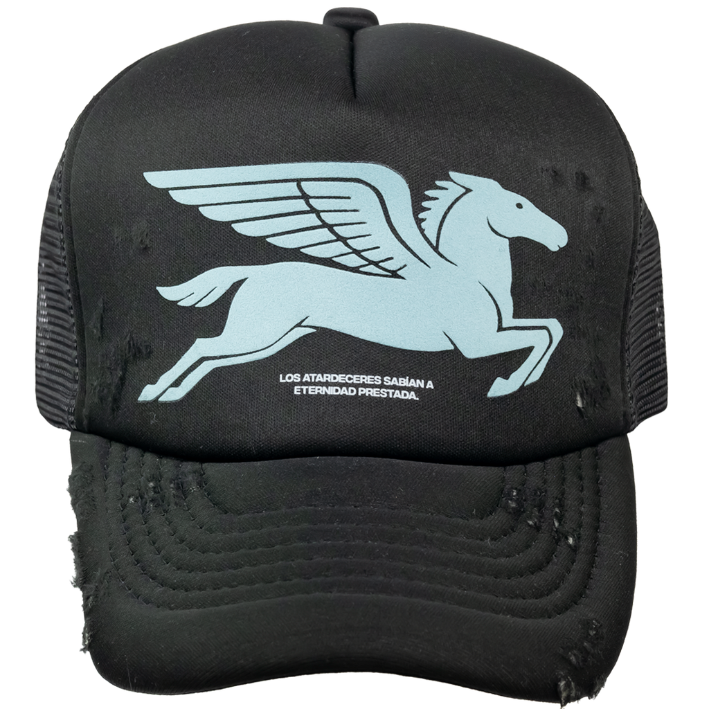 PEGASUS
