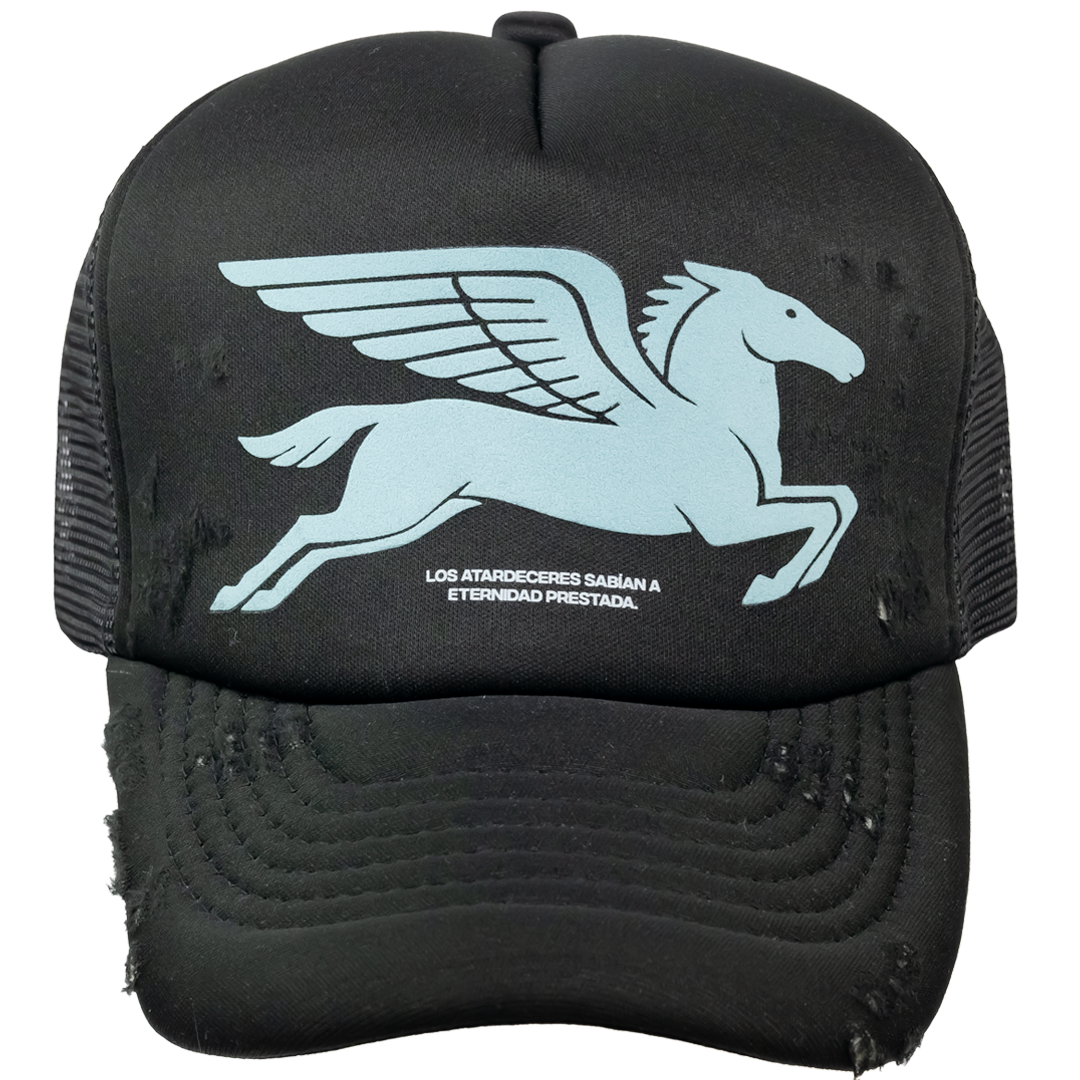PEGASUS