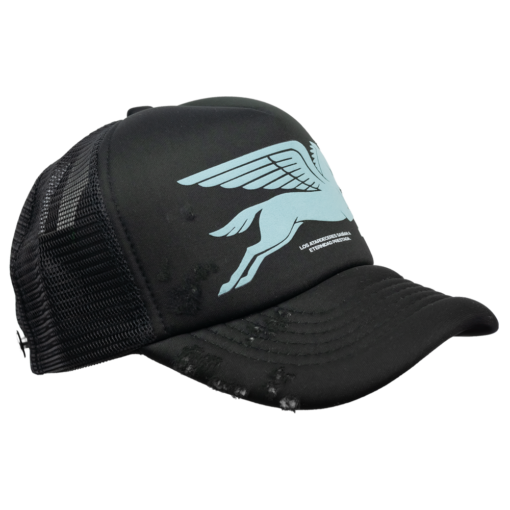 PEGASUS