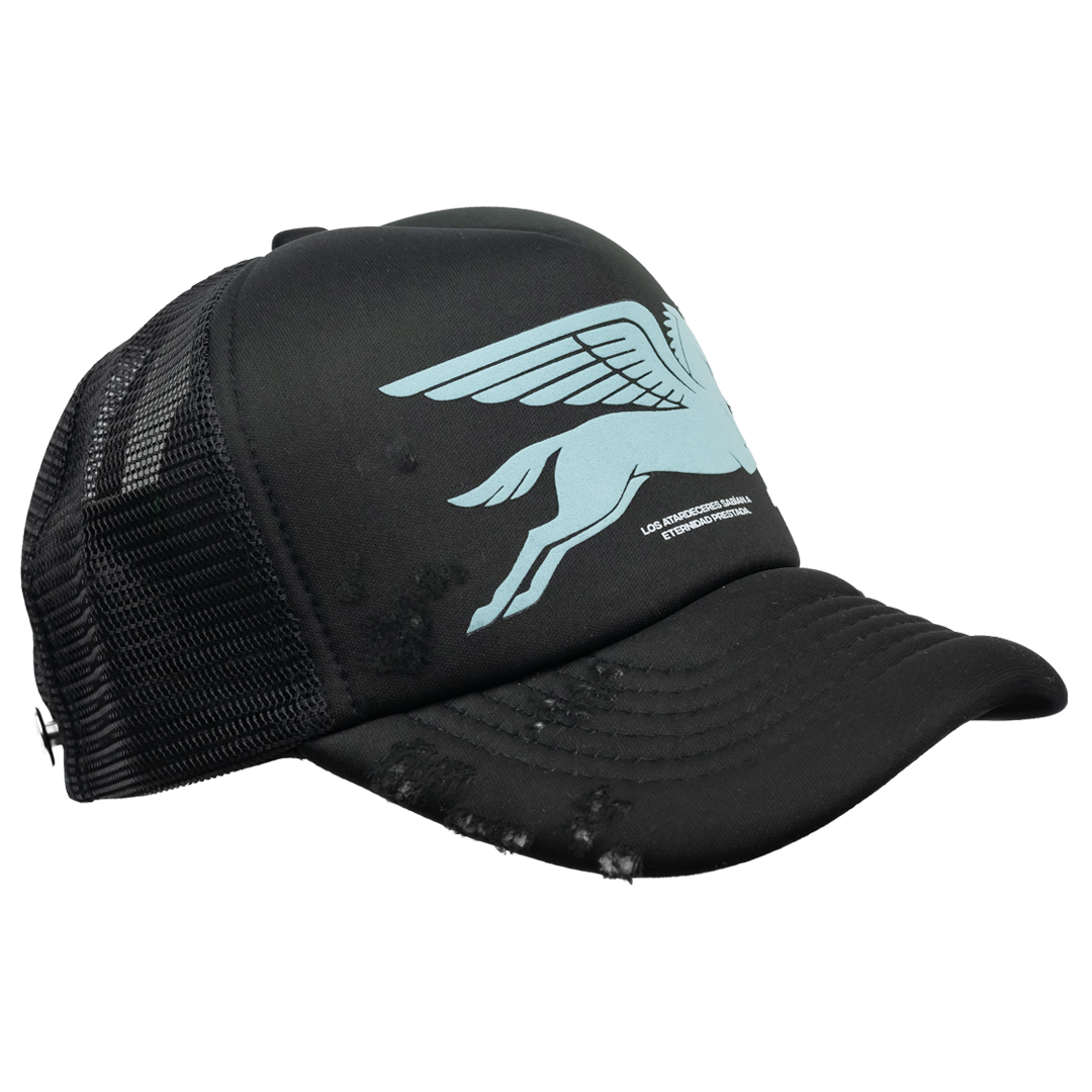 PEGASUS