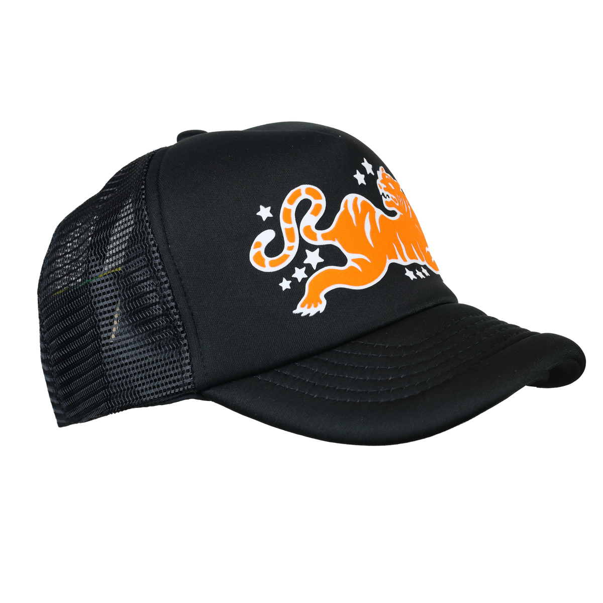 ALGEBRA TIGER