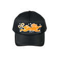 ALGEBRA TIGER