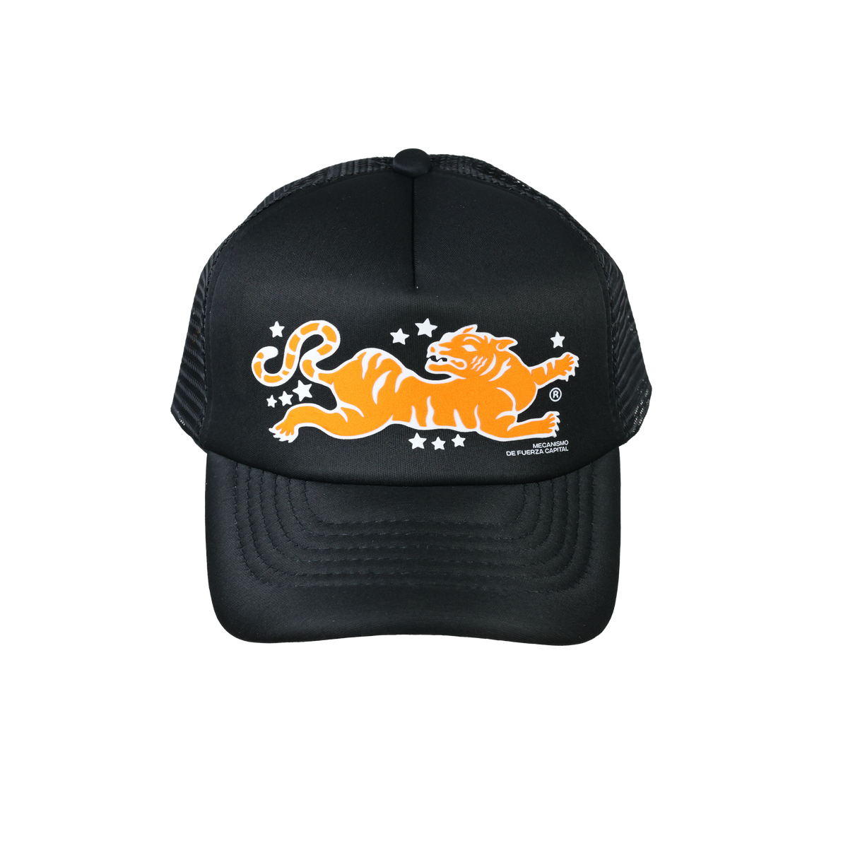 ALGEBRA TIGER