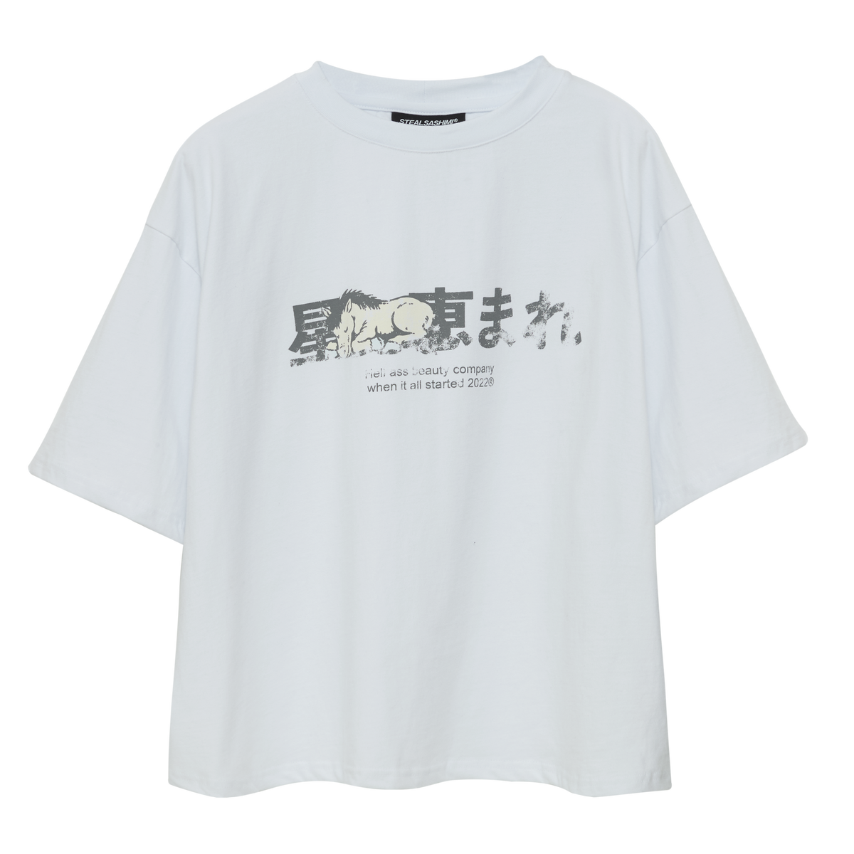 sleeping horse