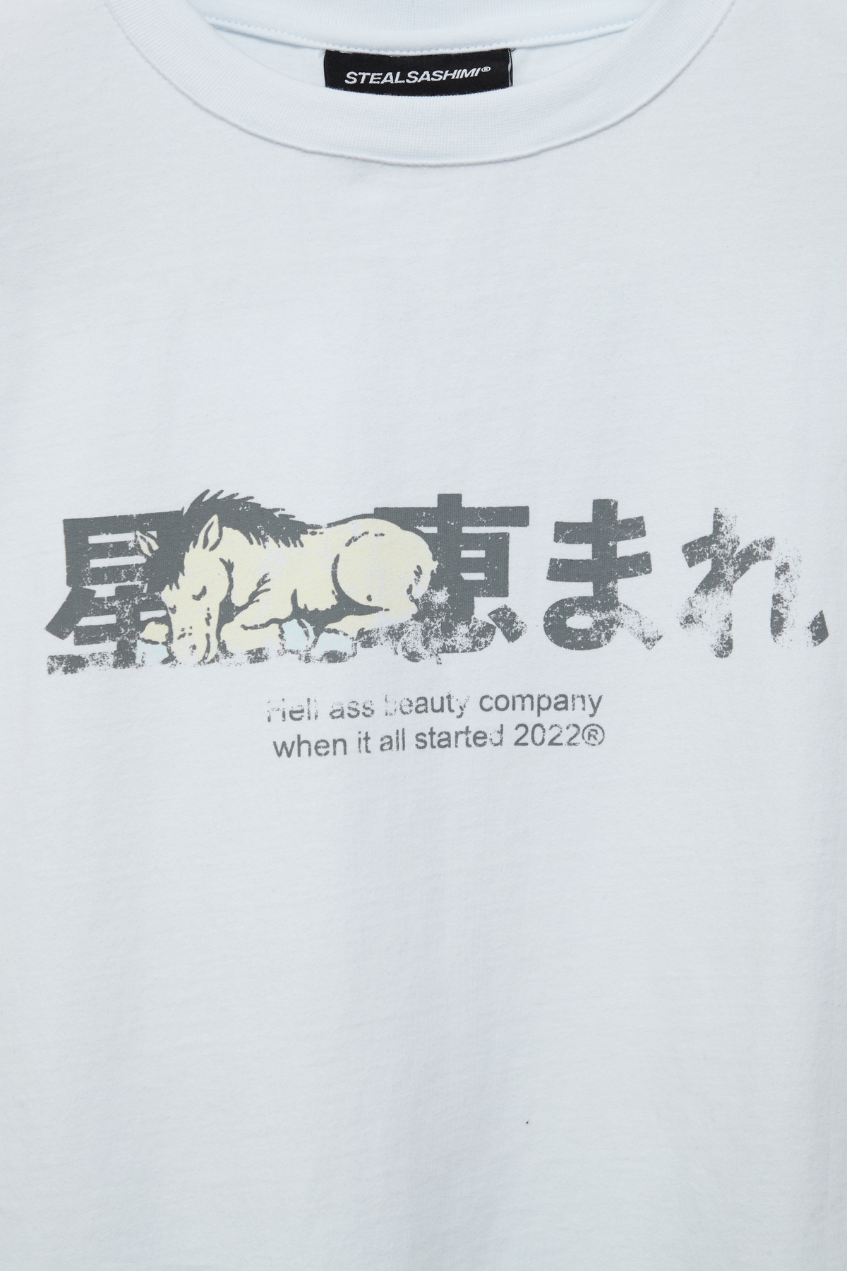 sleeping horse