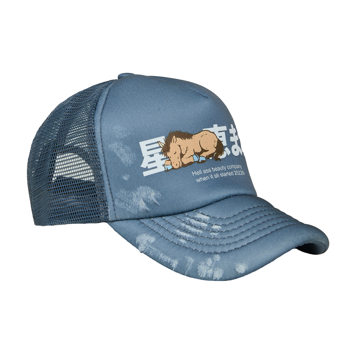 SLEEPIN HORSE