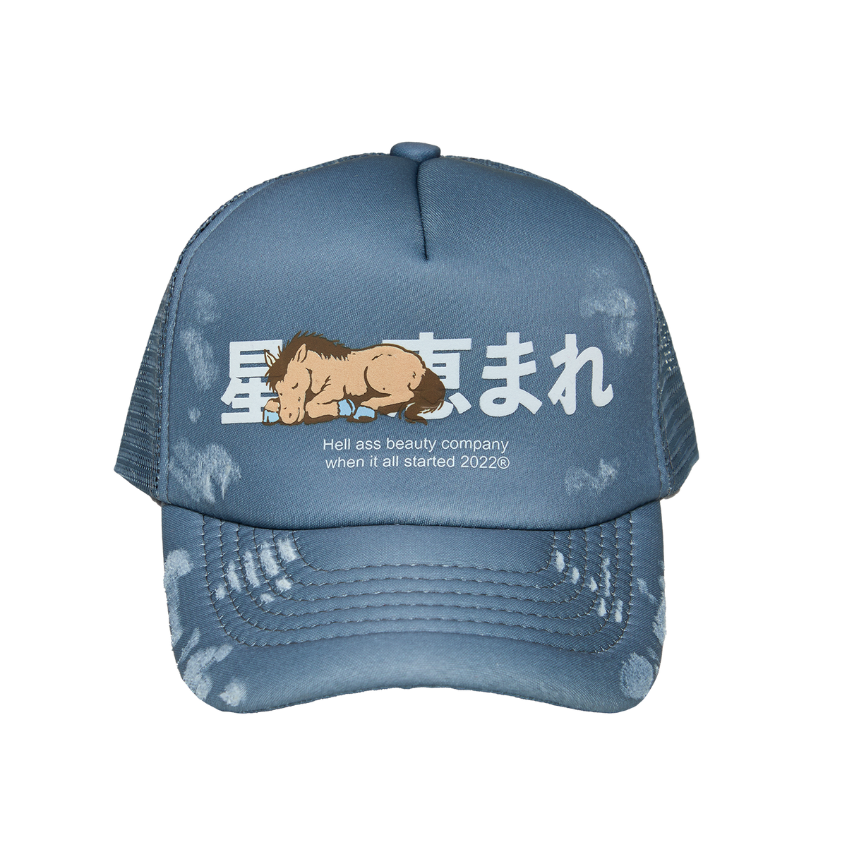 SLEEPIN HORSE