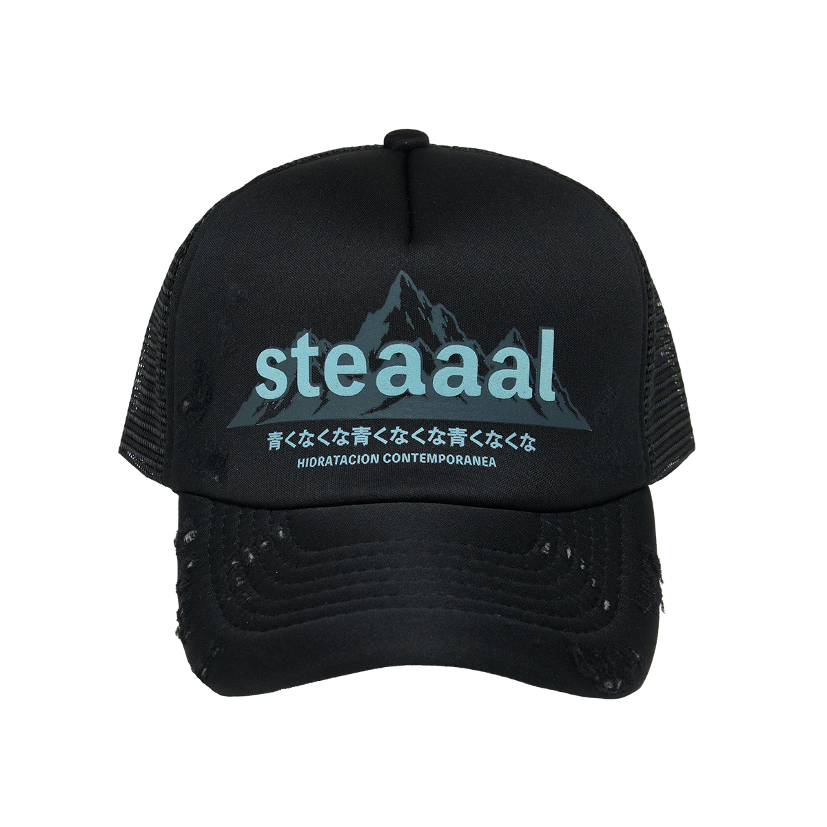 steaaal (mountain cap)